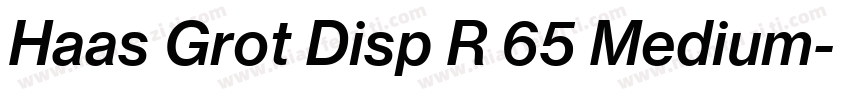 Haas Grot Disp R 65 Medium字体转换
